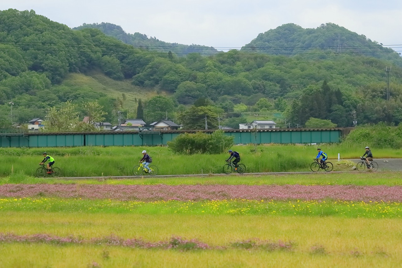 Aコース道中６