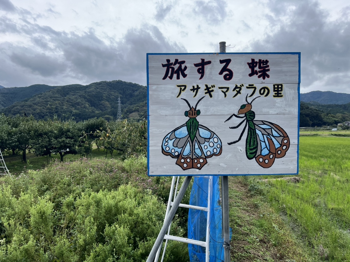 看板